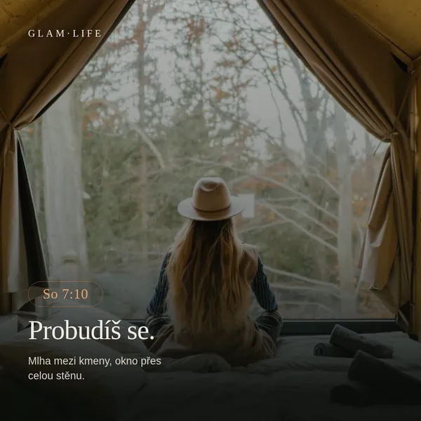 So 7:10. Probudíš se. Mlha mezi kmeny, okno přes celou stěnu.
